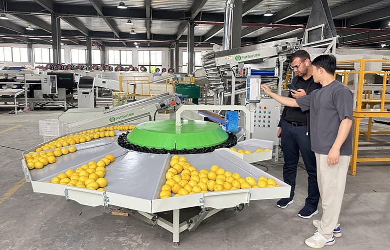 rotary weight sorting machine.jpg